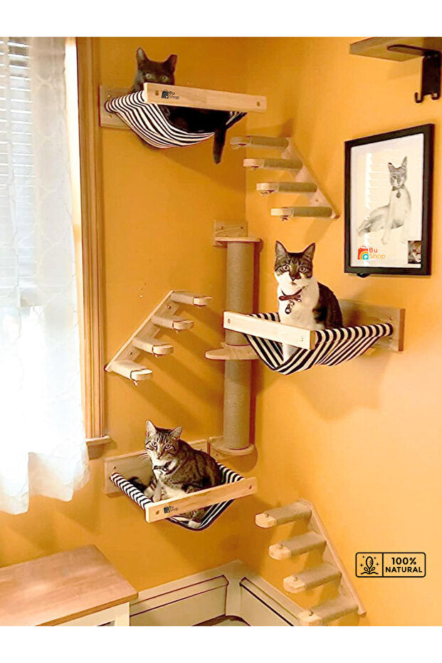 Kedi Parkuru, Kedi Evi, Kedi Yatağı, Kedi Duvar Evi, Kedi Duvar Rafı, Lüks 7 Parça Kedi Parkuru Sağ